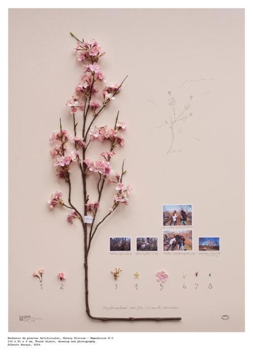 Cherry Blossom - Herbario de Plantas Artificiales