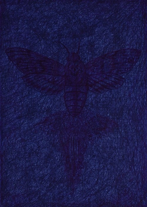 De schaduw van de doodskopvlinder / The shadow of the death's head moth