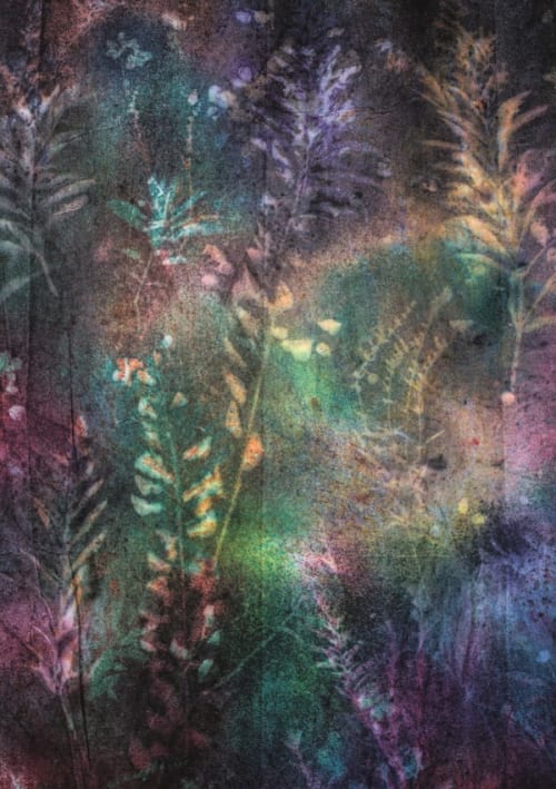 California Flora (National Forest Condensation Wall, North to South)