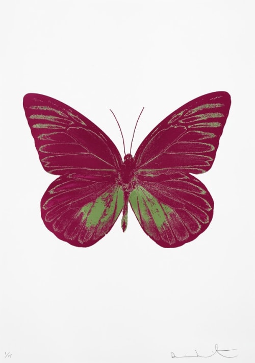The Souls I - Fuchsia Pink/Leaf Green