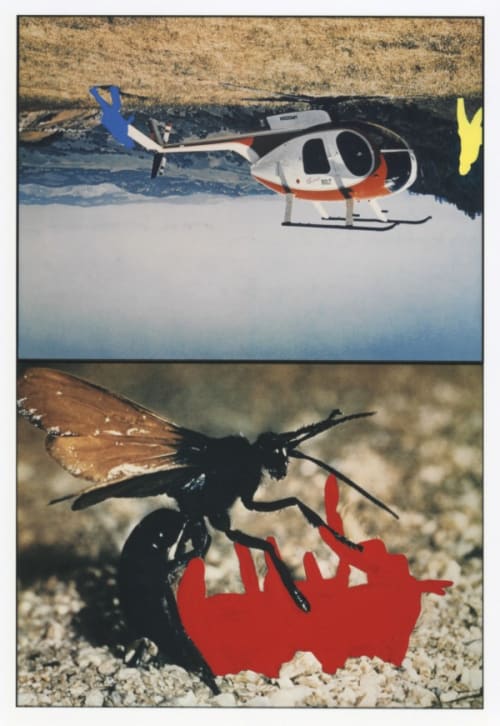 Helicopter and insects (One Red), version 1