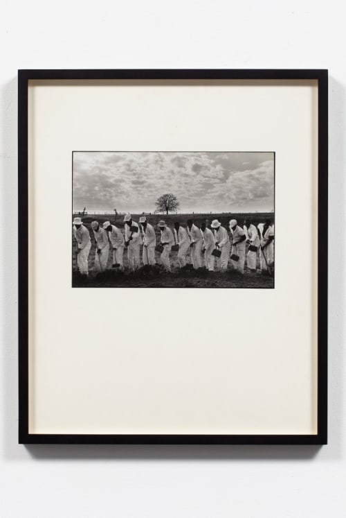 The Line, Ferguson Unit, Midway, Texas, 1968