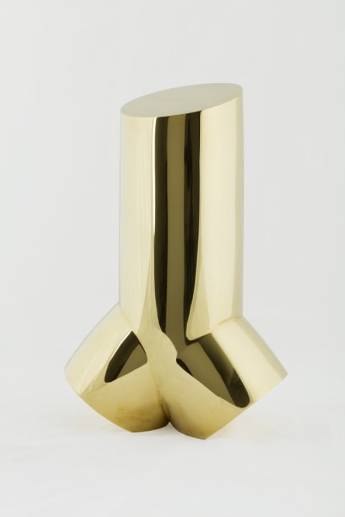 Torse de jeune homme