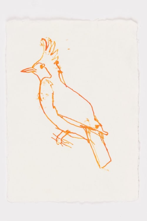 Bird 2