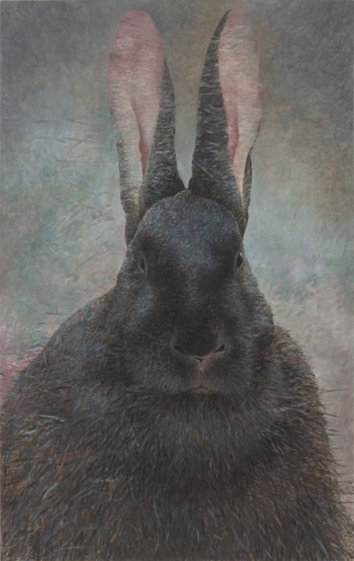 Rabbit Portrait - Wuxu 1