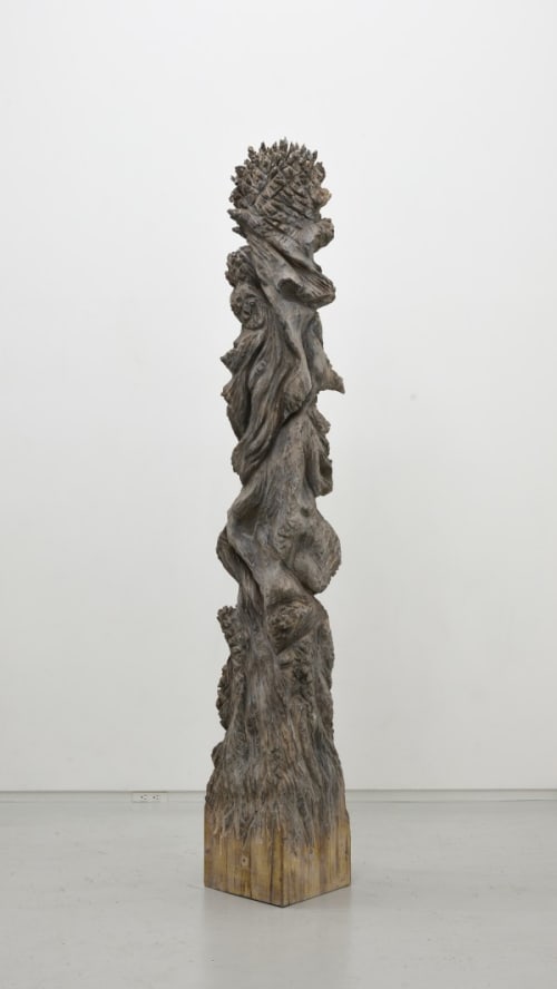 Woods (201718-1)