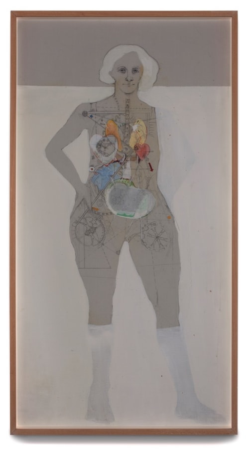 X-Ray Women