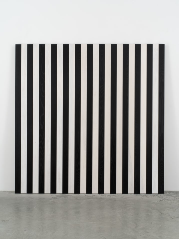 Photos-souvenirs au carré. Daniel Buren” - Expositions