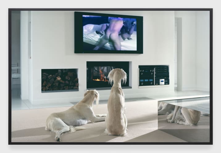 Wolfgang Tillmans | mid-air flap movement, 2013 | Art Basel