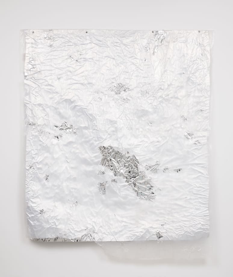 Untitled (Silver Tapestry) by David Hammons