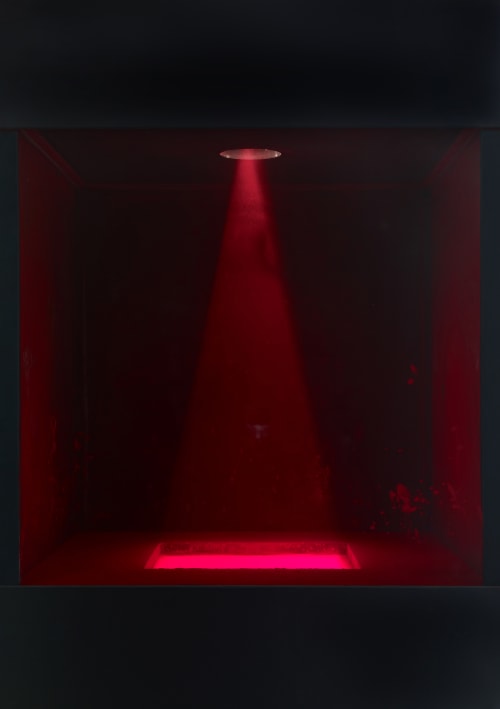 Jean Dupuy Art Basel