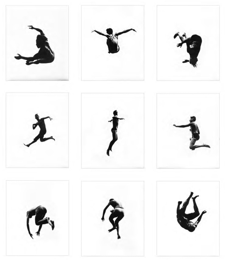 Pleasures and Terrors of Levitation