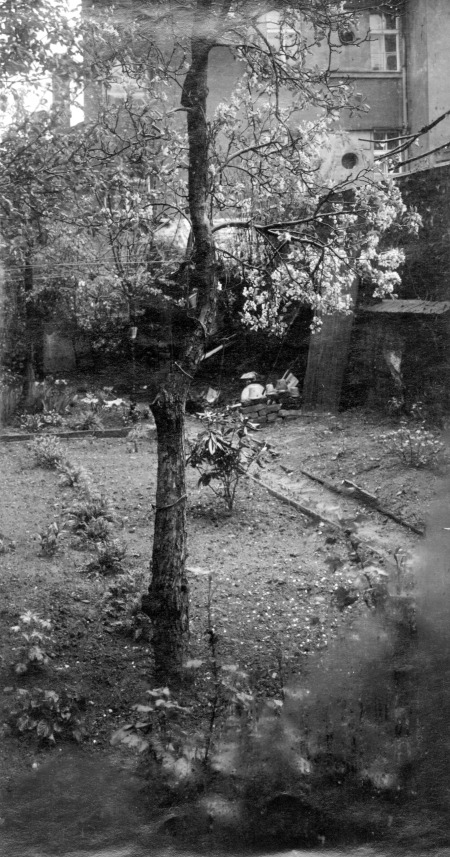 	 View from the Window of My Studio
