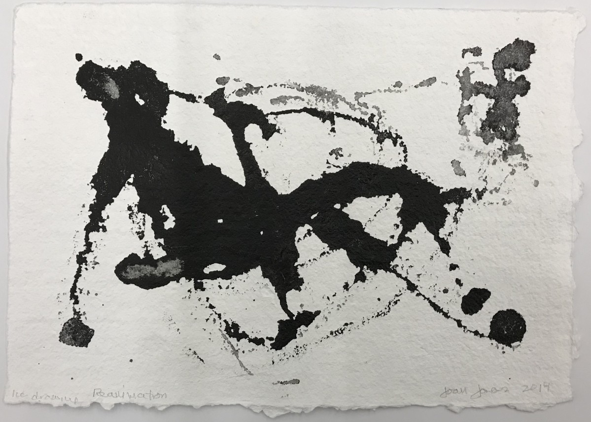 Ice Drawing, Reanimation - Museum of Fine Arts, Boston