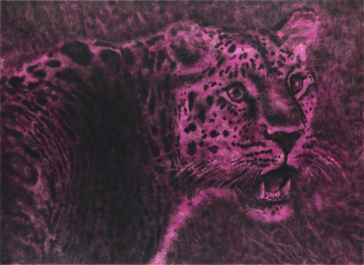 The first Cochin 'A Leopard'
