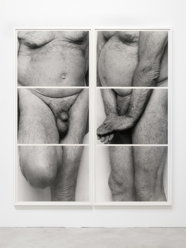 Self Portrait, Frieze No 5