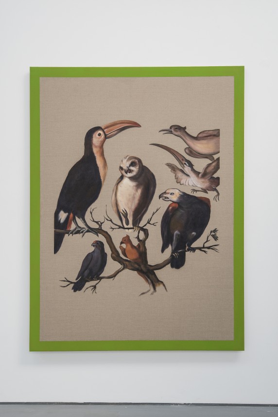 Sample of American Birds II