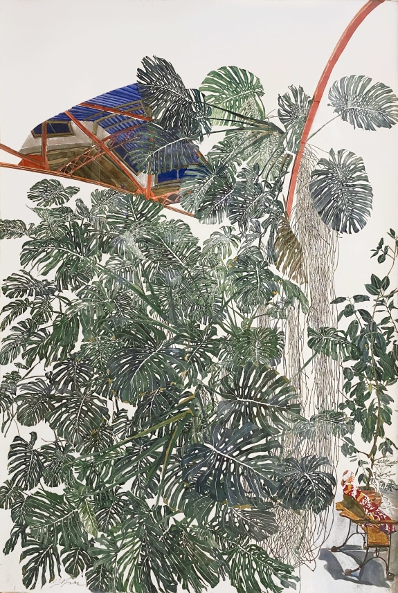 Untitled (Plants with Skylight)