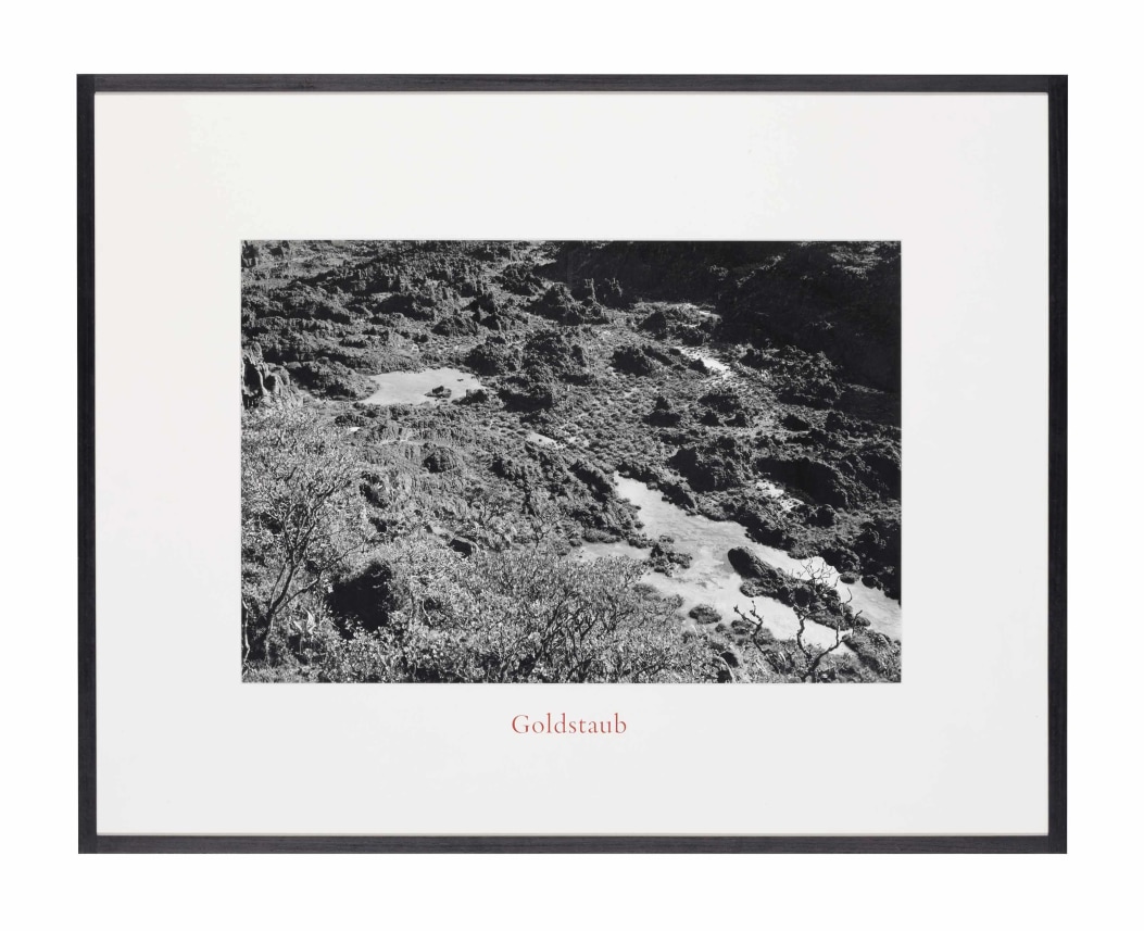 Goldstaub (Gold Dust)