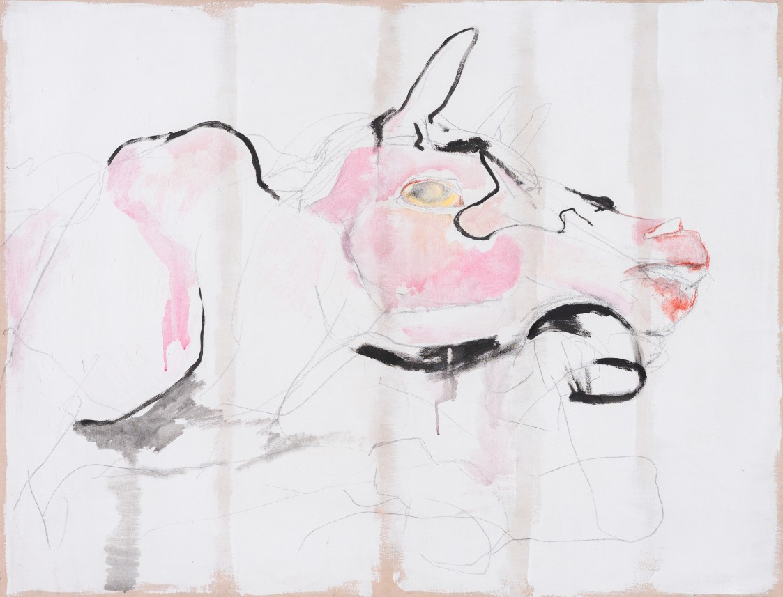 Un cheval mort
