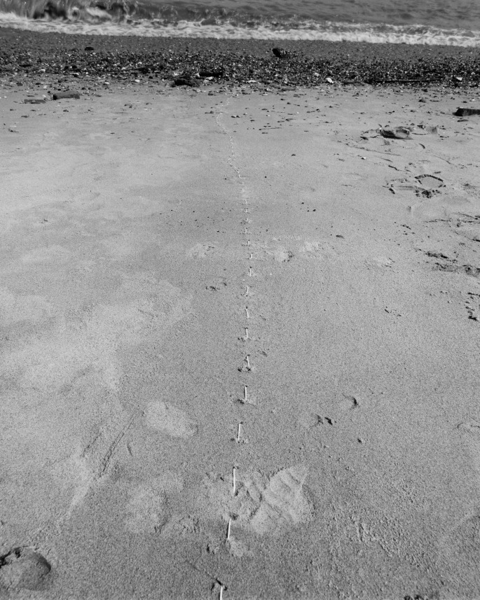 Untitled (Sand, London)