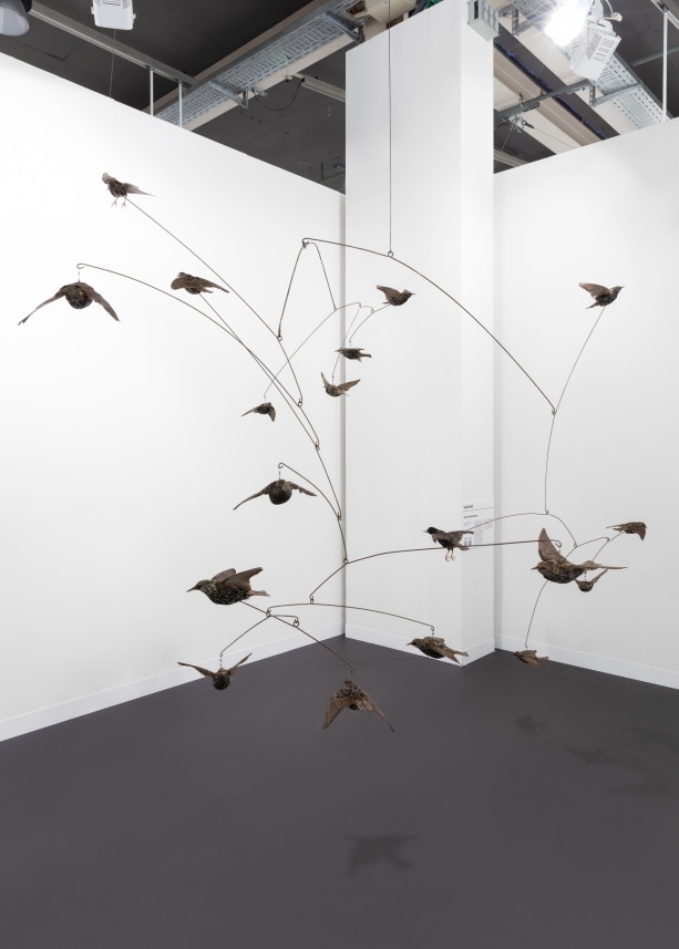Untitled Swarm (Sturnus vulgaris) #3