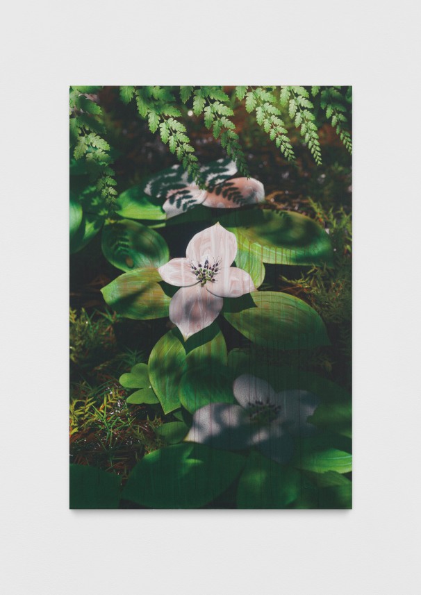 Untitled (natural origin, 3)