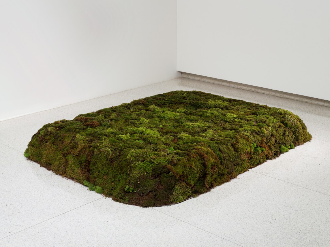 Moss Bed, King