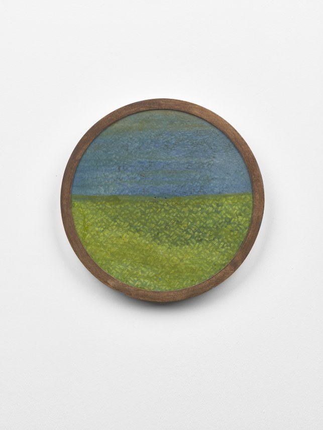 Untitled (Dark blue sky over green field)