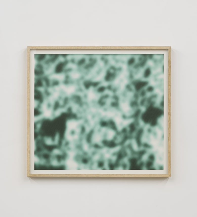 Green blur (Hess crop)