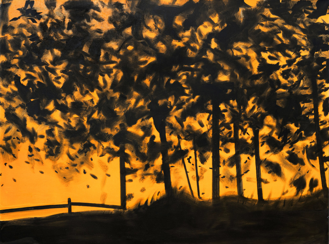 Orange and Black