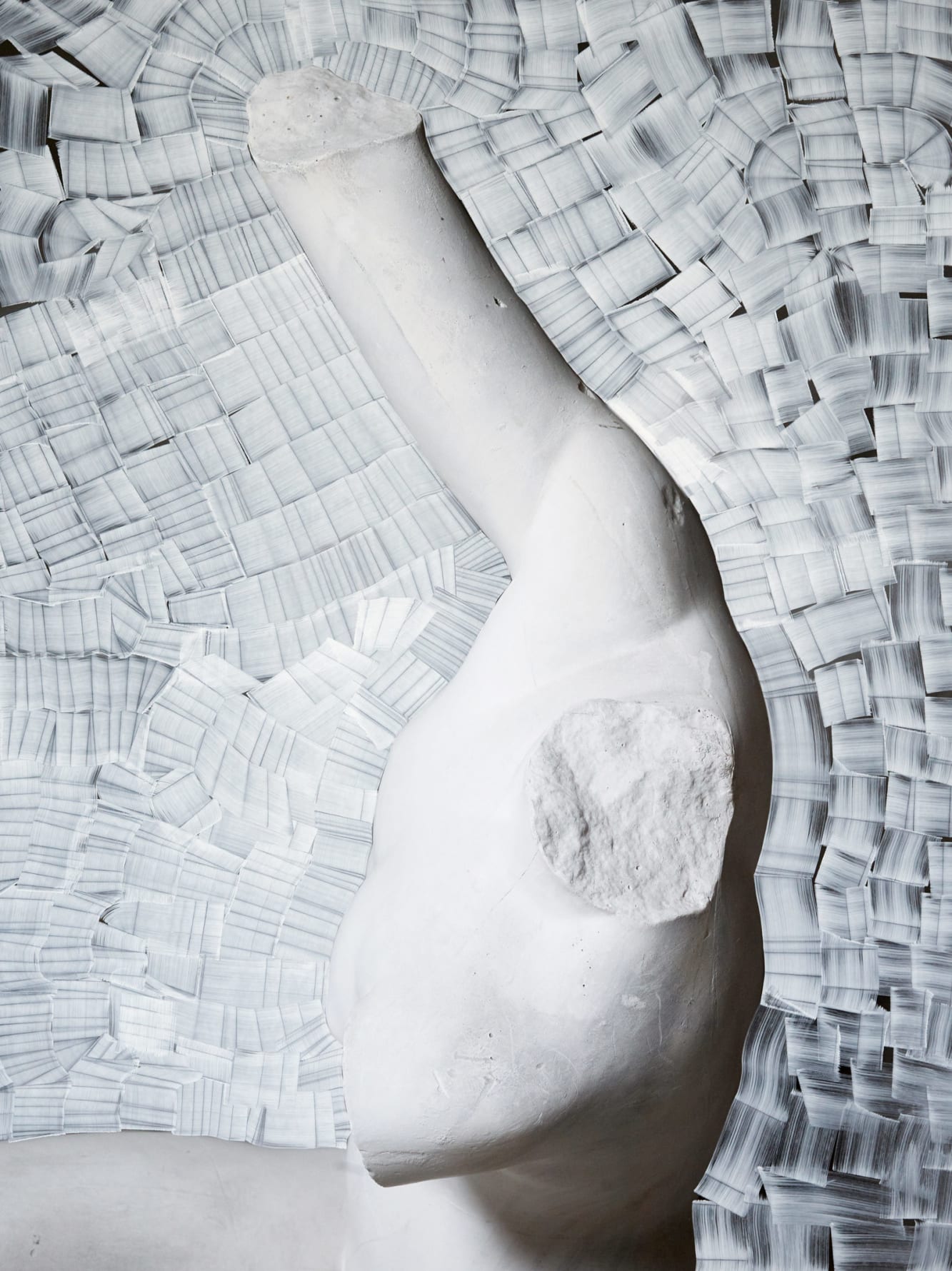 The attempt / white