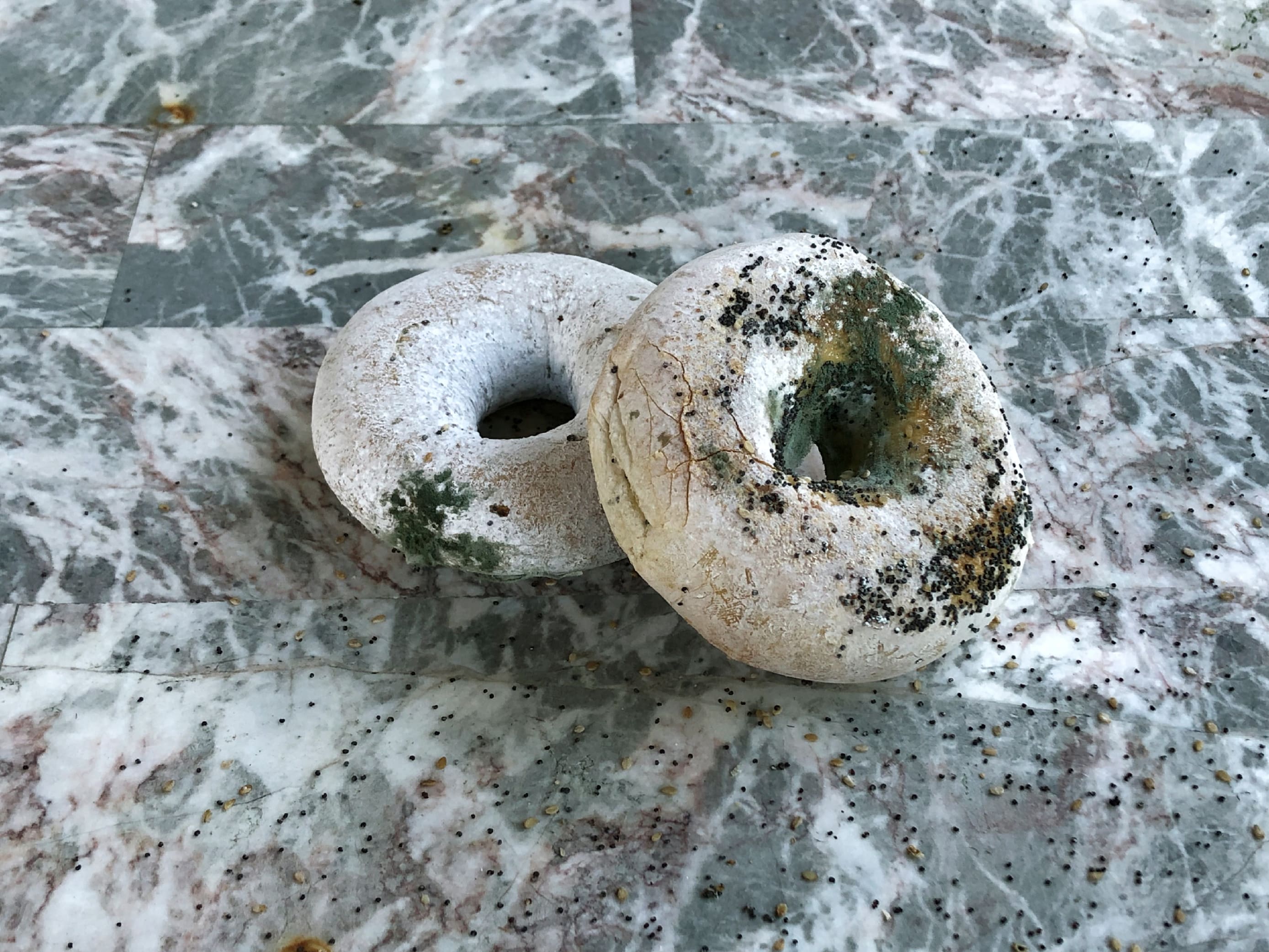 Moldy Bagels on Marble Table